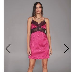 NWT Nasty Gal animal print mini dress